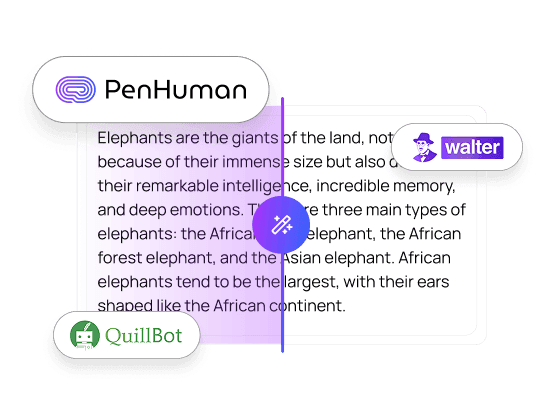 Top 5 AI Humanizer Tools to Humanize AI Text & Bypass Detectors in 2025 ...